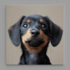 Ani_17 - Thumbnail Image 1