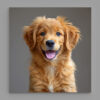 Ani_19 - Thumbnail Image 1